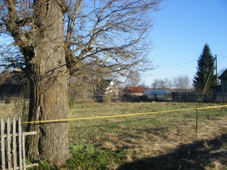 Участок 8 соток, д. Тушино, Чудовский район, Новгородская область 